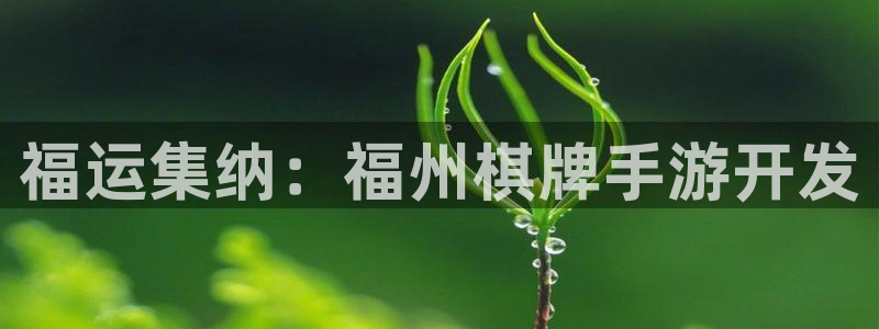 大神28杀最厉害三个组合
