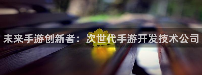 大神吧pc28软件：未来手游创新者：次世代手游开发技术公司