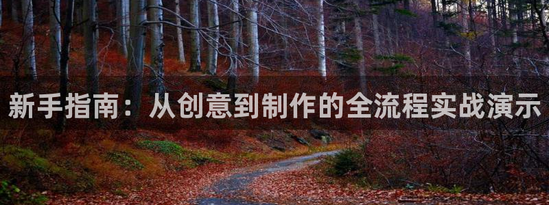28大神怎么用不了了：新手指南：从创意到制作的全流程实战演示