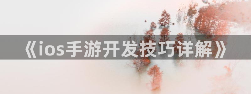 大神28手机版：《ios手游开发技巧详解》