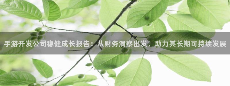 大神28软件：手游开发公司稳健成长报告：从财务洞察出发，助力