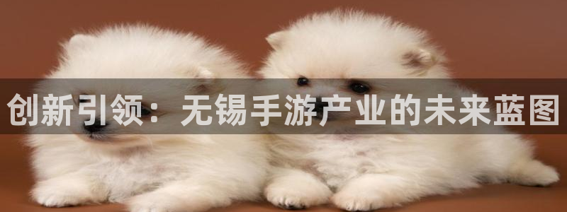 大神28评测：创新引领：无锡手游产业的未来蓝图