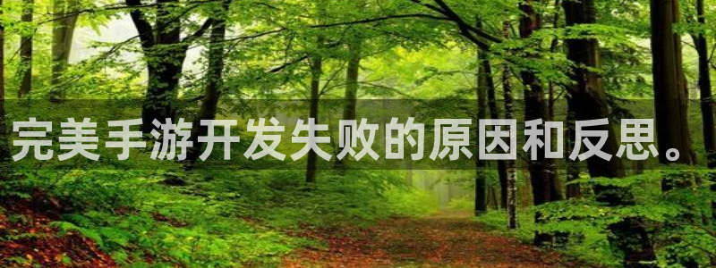28大神预测app苹果：完美手游开发失败的原因和反思。