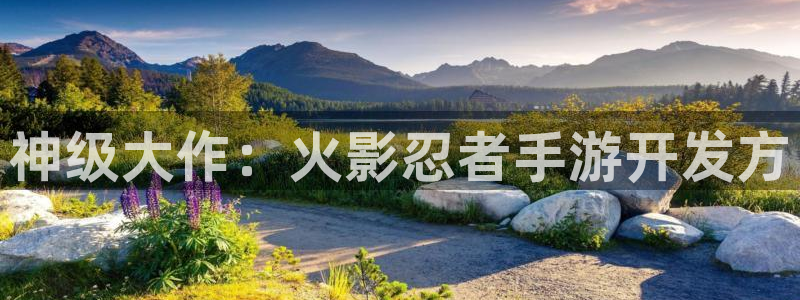 28大神新版：神级大作：火影忍者手游开发方