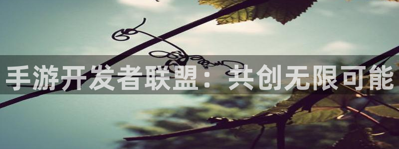 大神pc28预测：手游开发者联盟：共创无限可能