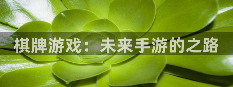 大神28下载：棋牌游戏：未来手游的之路