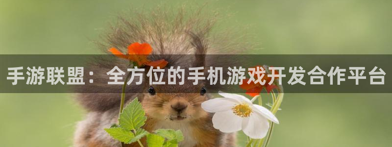 pc28大神预测官网下载地址：手游联盟：全方位的手机游戏开发