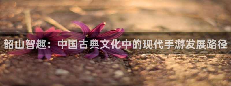 28大神苹果在线安装：韶山智趣：中国古典文化中的现代手游发展