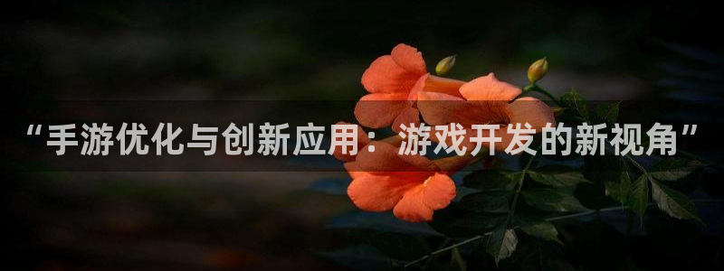 大神pc28官网开奖：“手游优化与创新应用：游戏开发的新视角