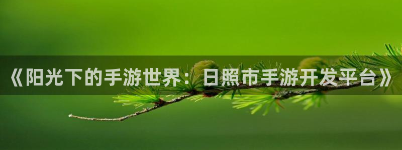 28大神怎么用不了：《阳光下的手游世界：日照市手游开发平台》